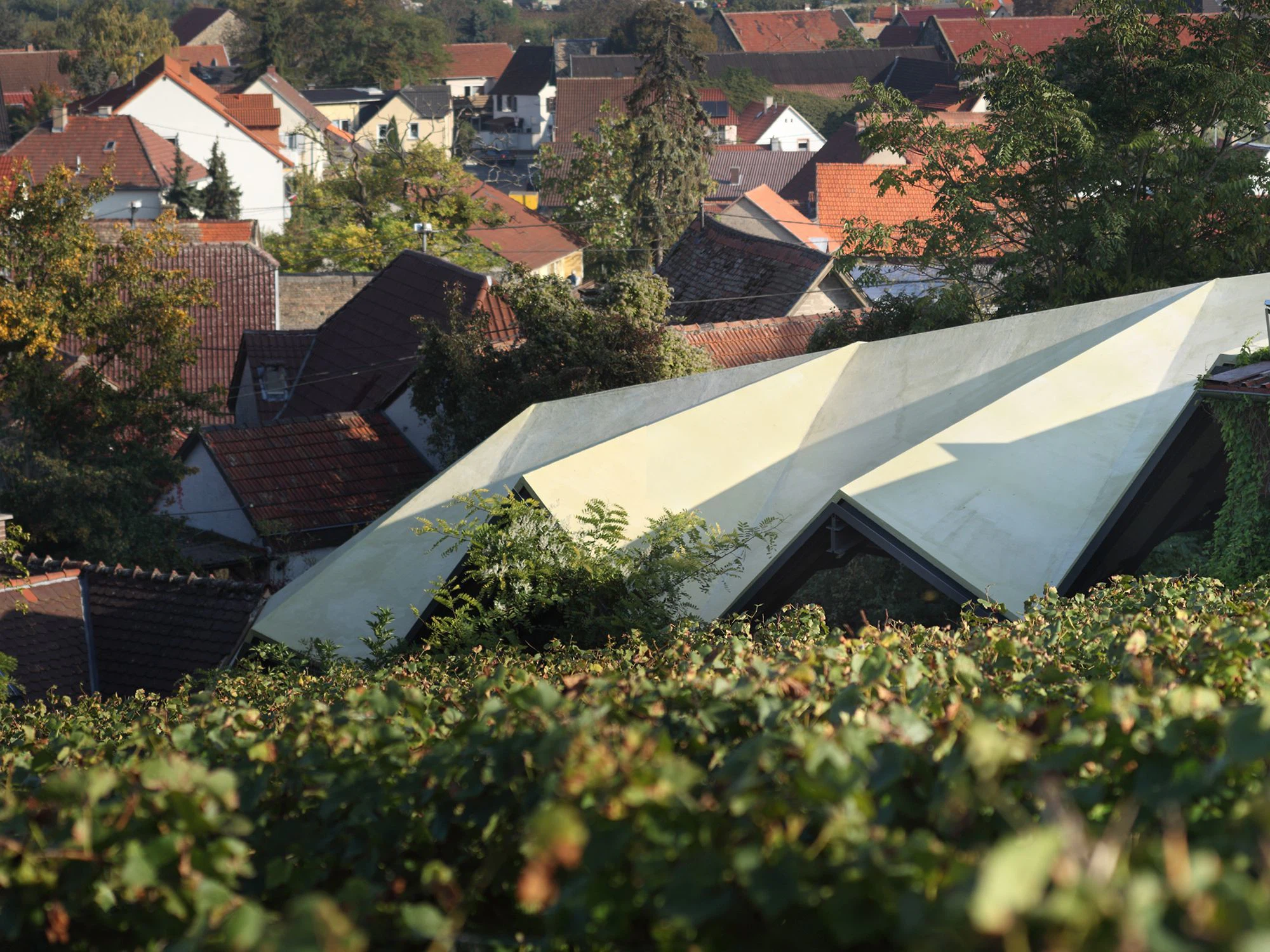 Fotograf: Eibe Sönnecken, Darmstadt