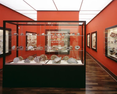 Stefan Müller