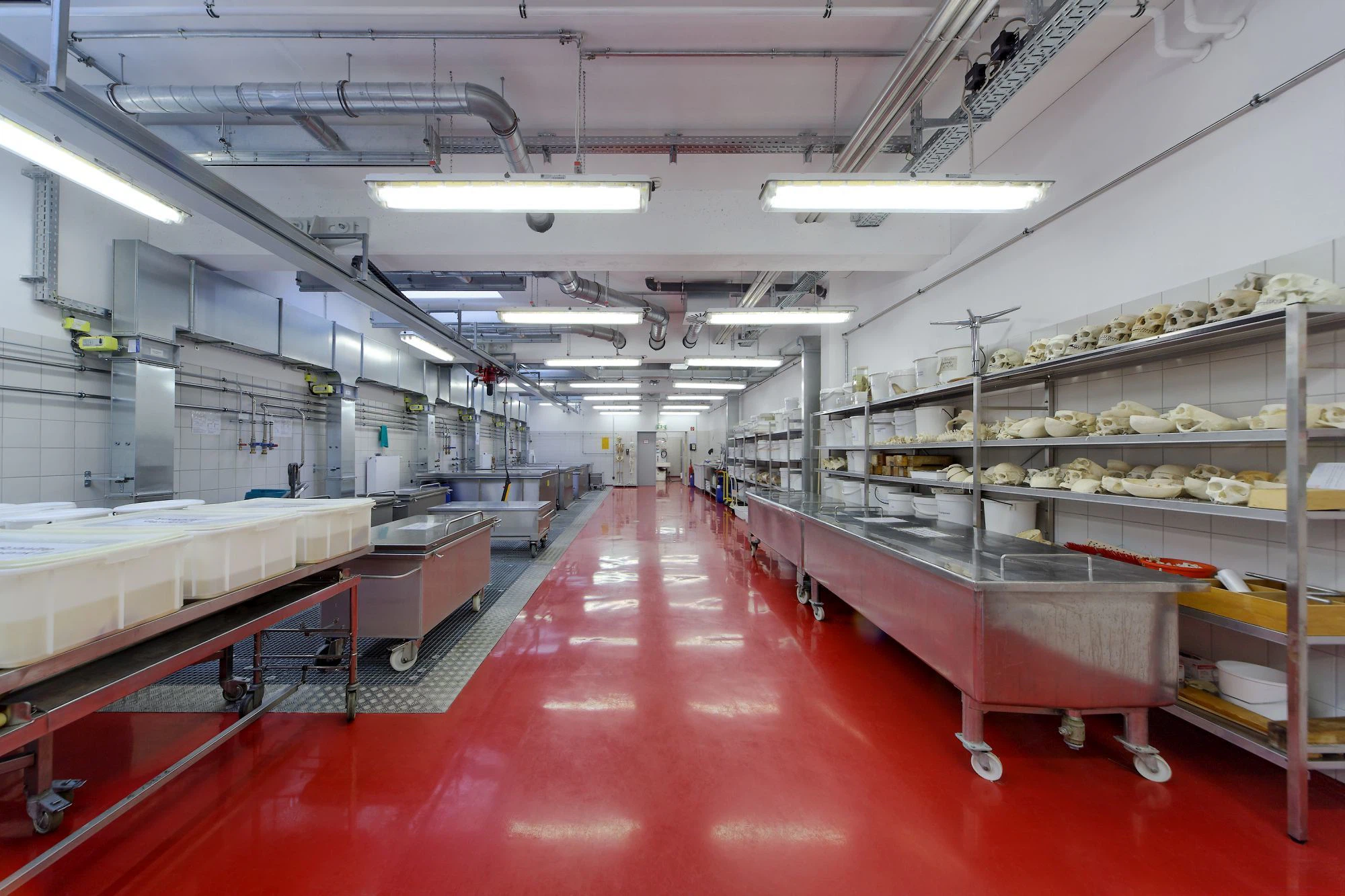 Erweiterung Institut für Anatomie und Biochemie Kiel (Fotos ©: Bernd Perlbach)
