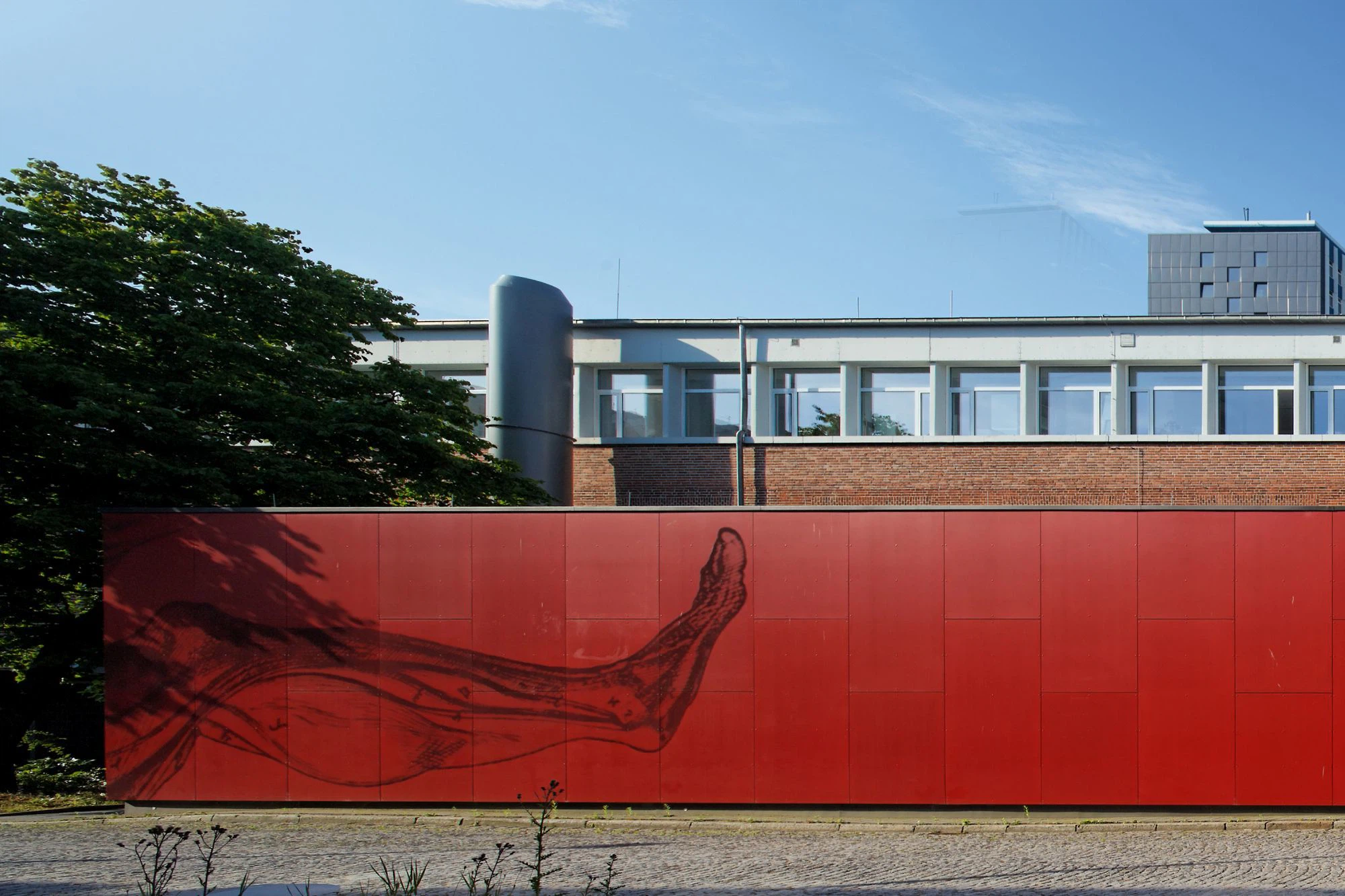 Erweiterung Institut für Anatomie und Biochemie Kiel (Fotos ©: Bernd Perlbach)