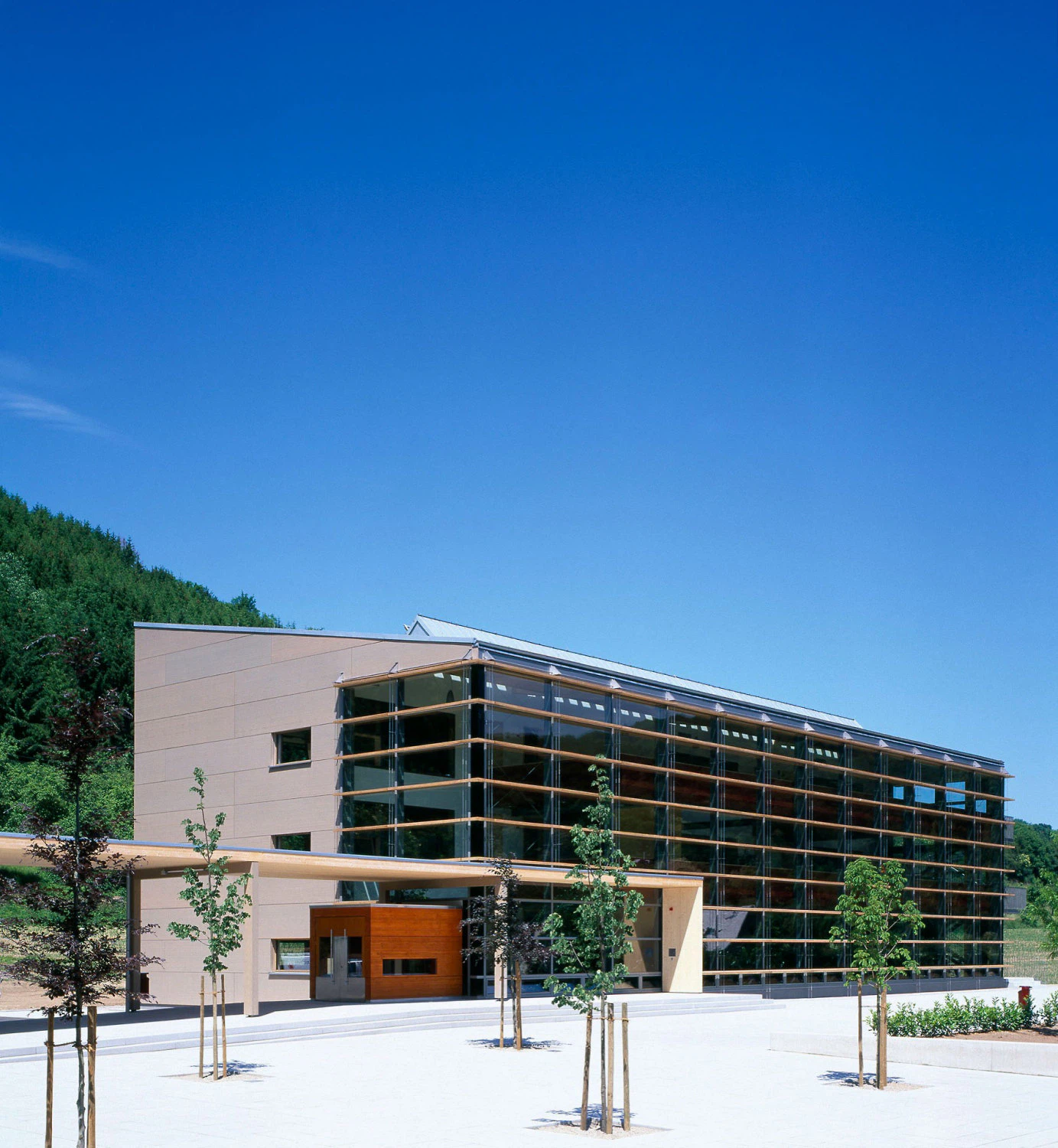 igelstudios