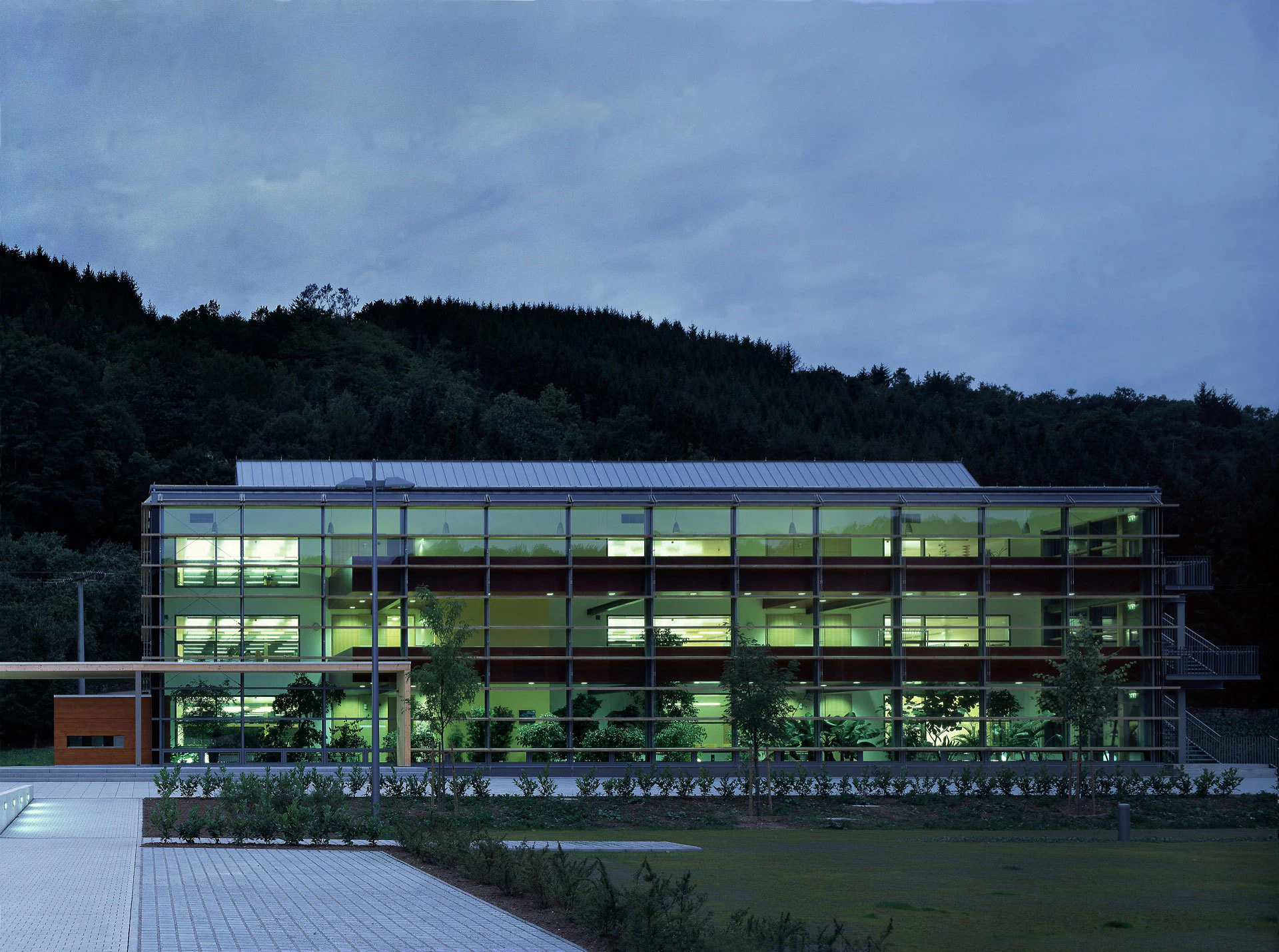 igelstudios
