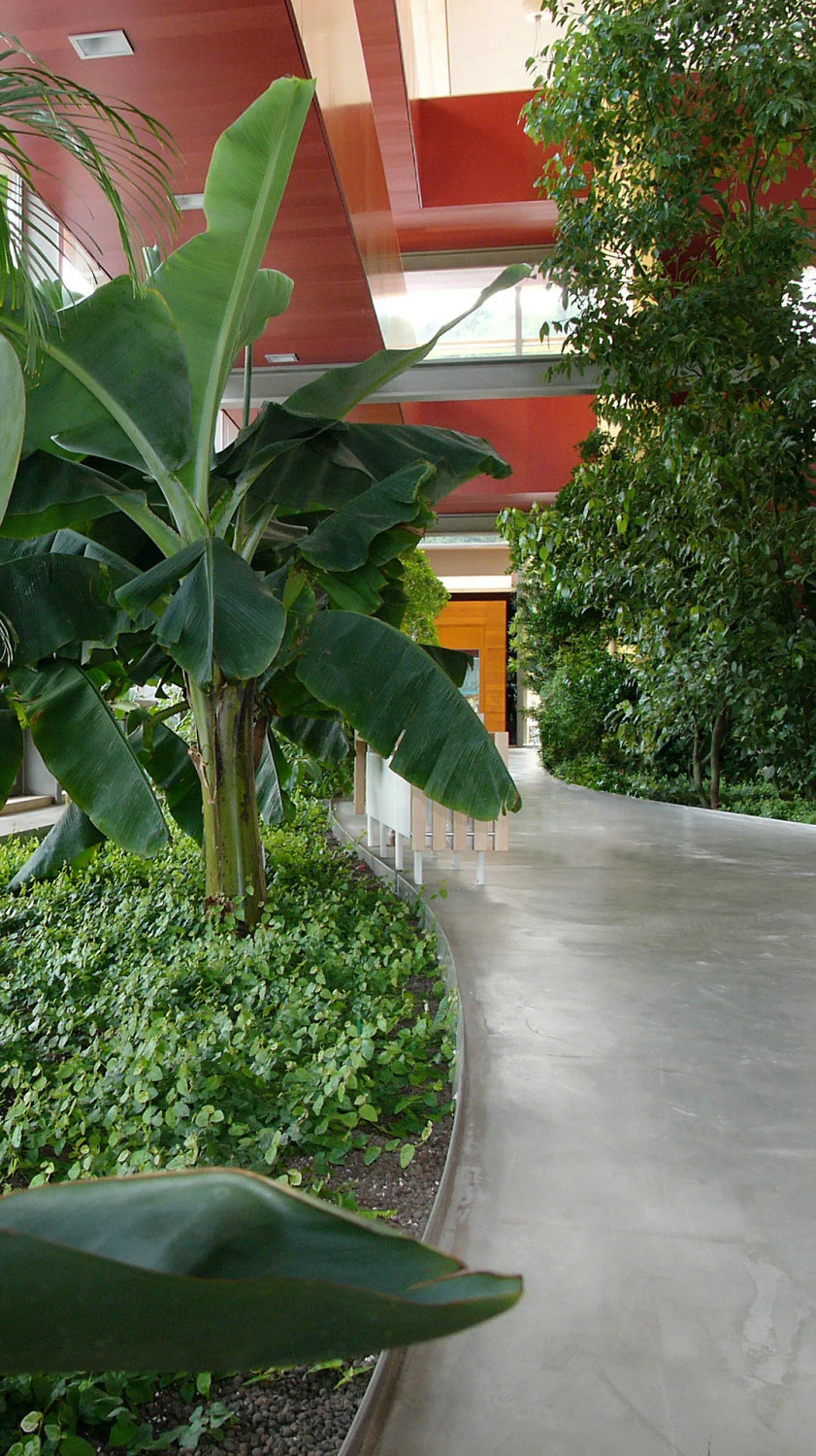 igelstudios