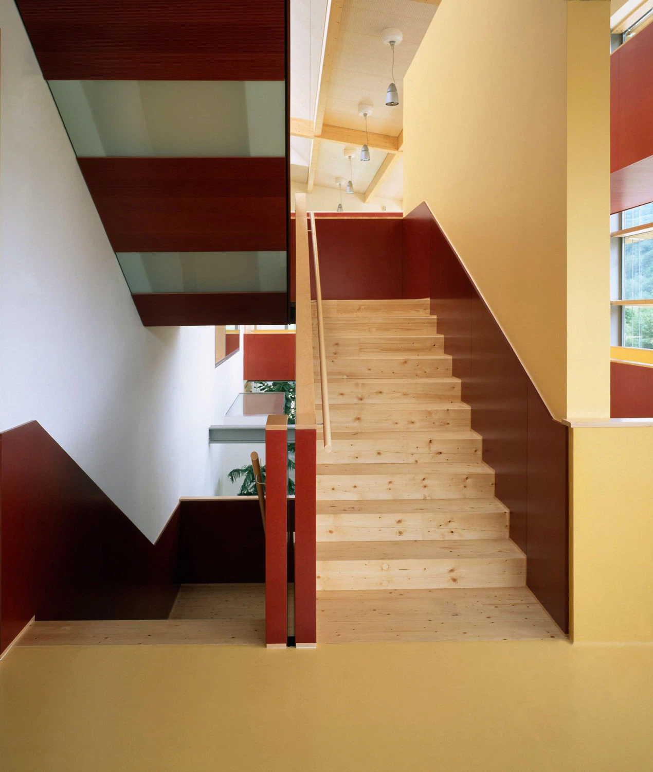 igelstudios