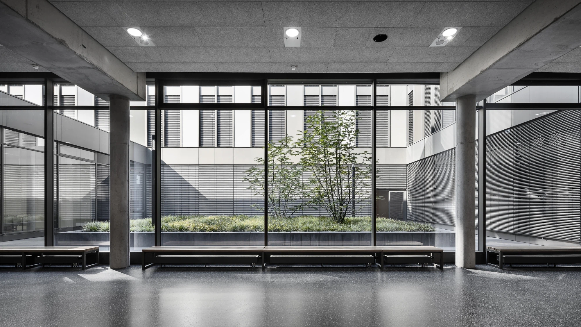 ® Aldo Amoretti