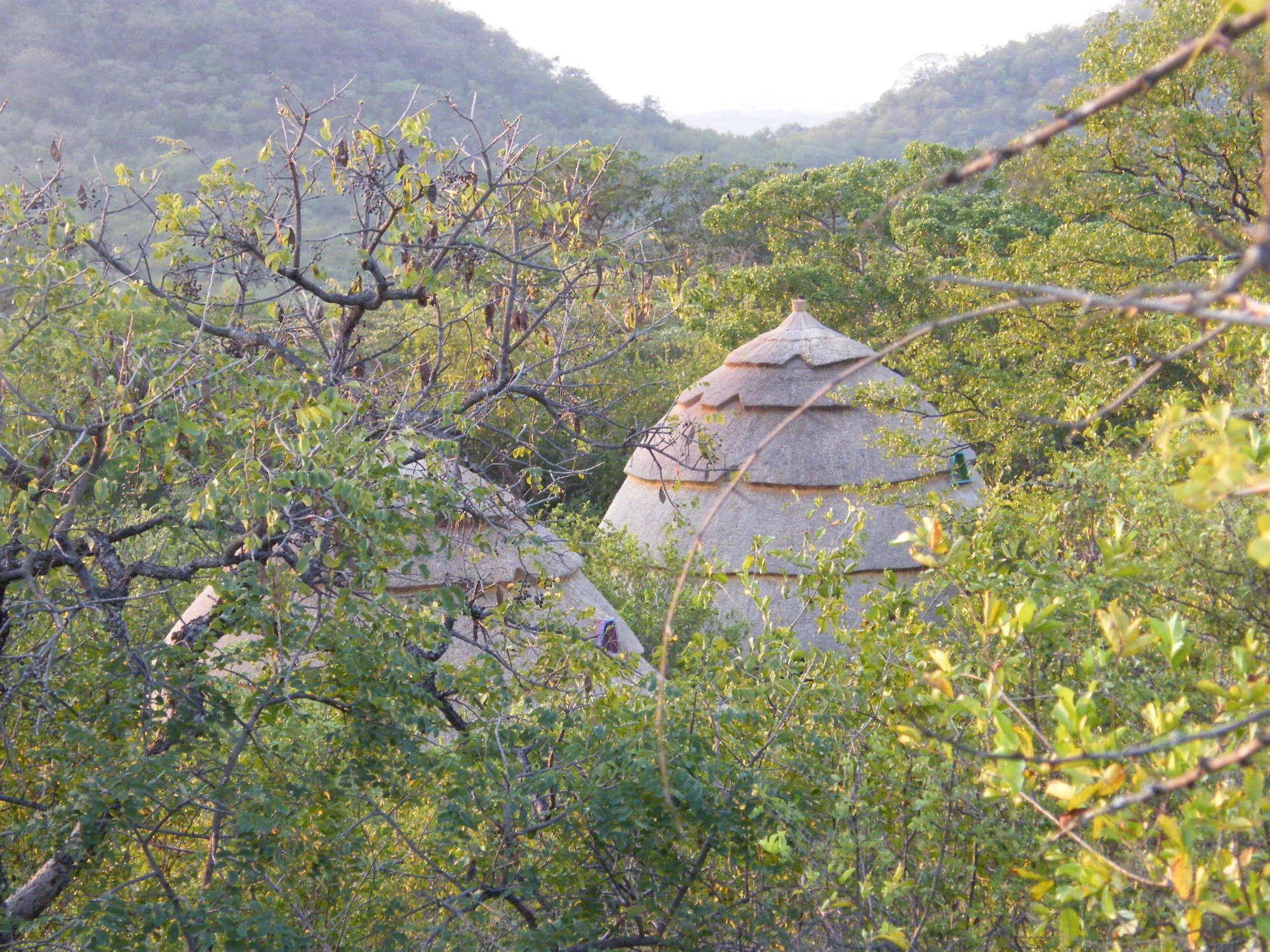 Photos thatching & opening © Margarethe Holzer