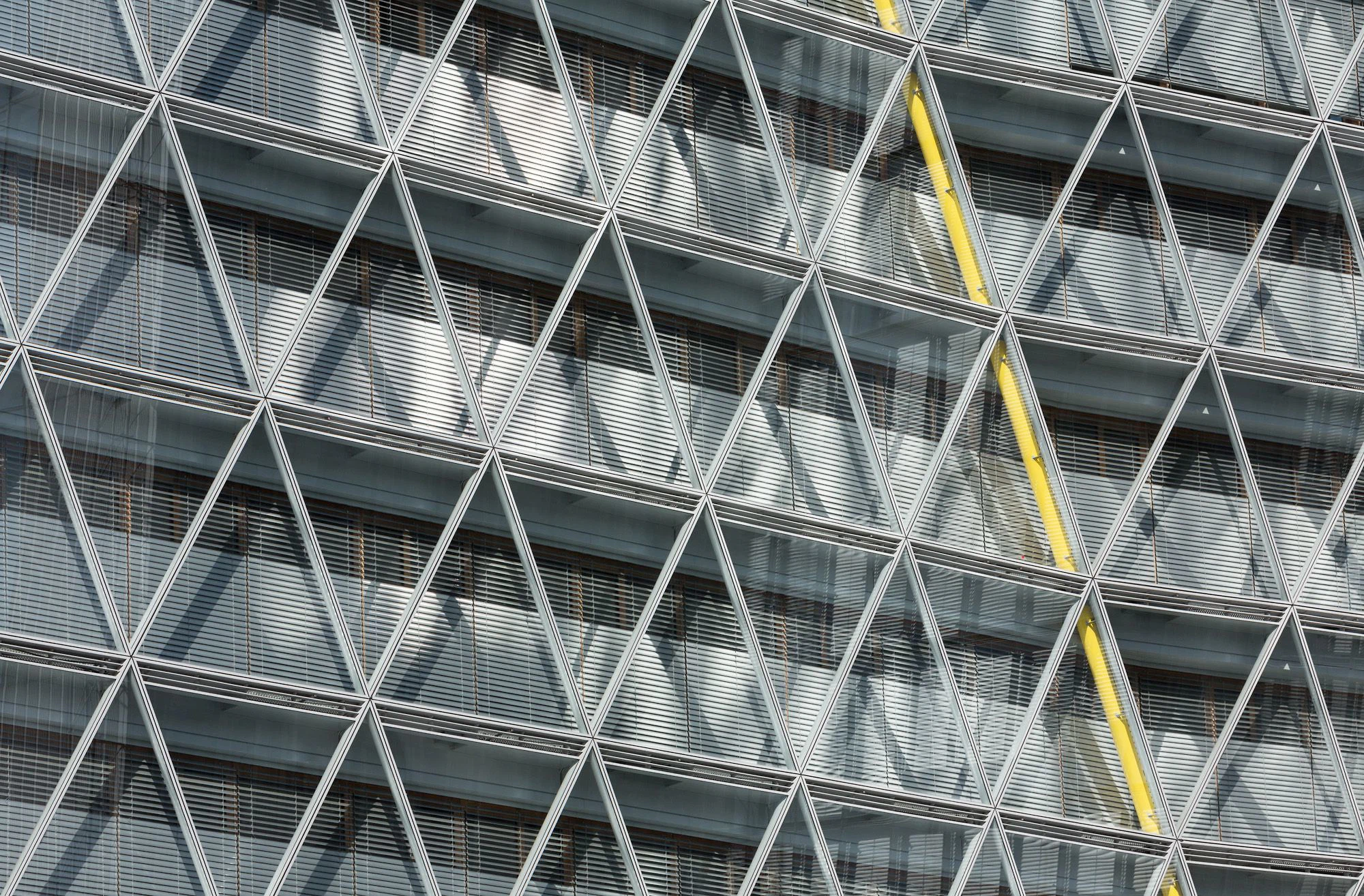 Foto: HG Esch