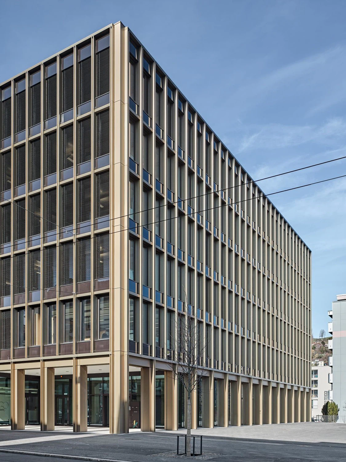 Roger Frei, Zürich