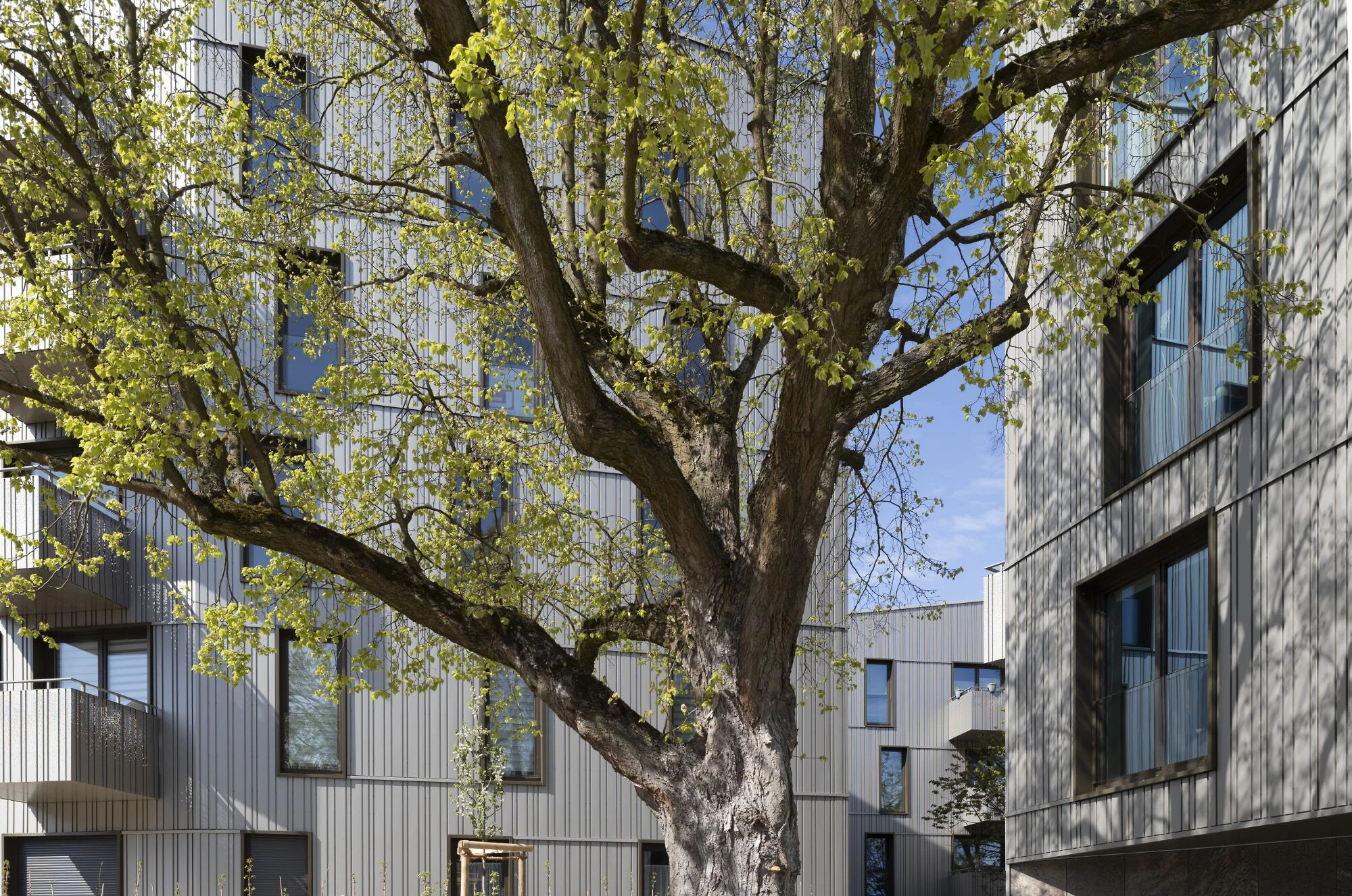 RENNER HAINKE WIRTH ZIRN ARCHITEKTEN // Foto: Stephanie Brinkkötter