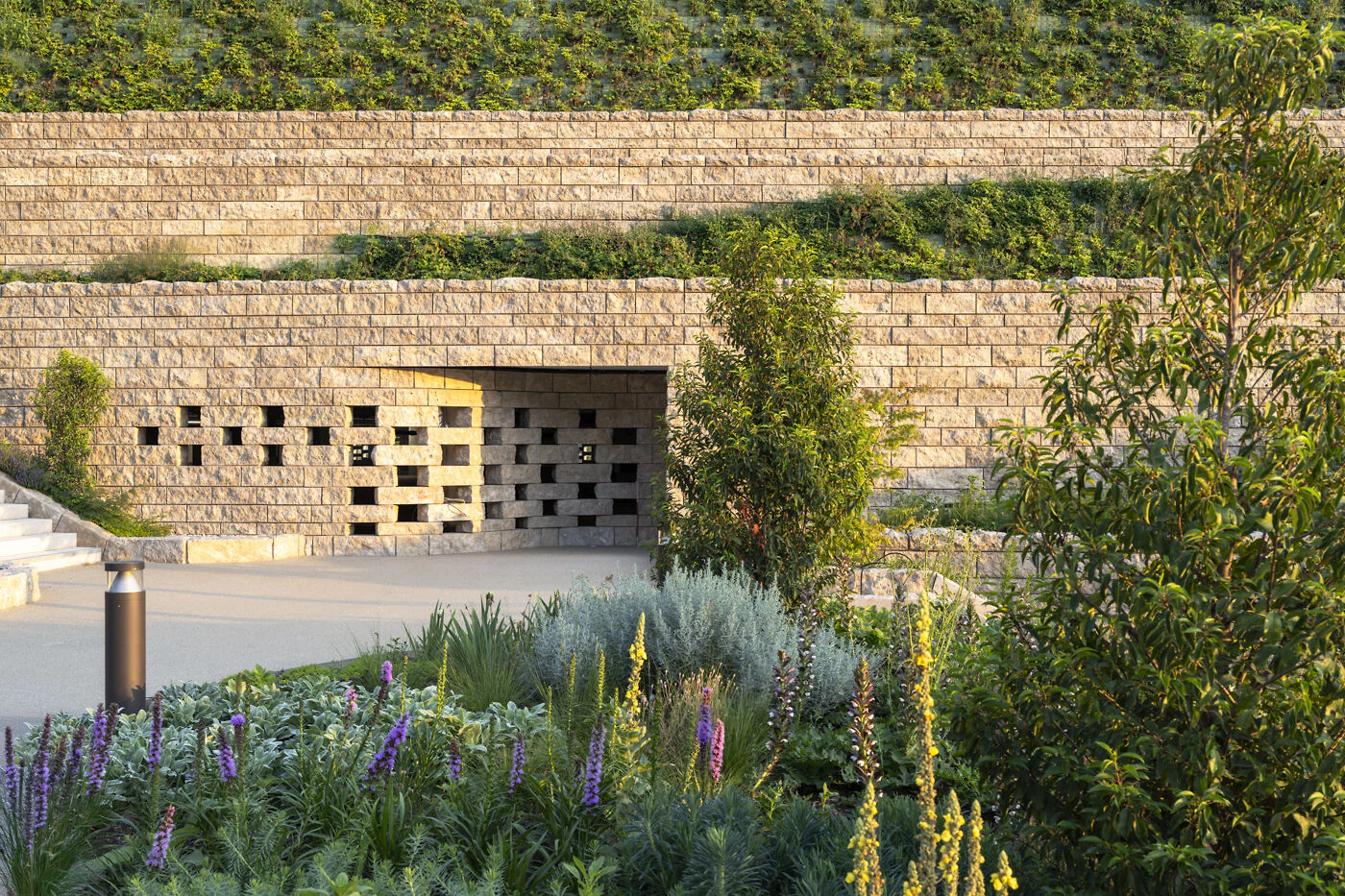 Franco Casaccia/JSWD