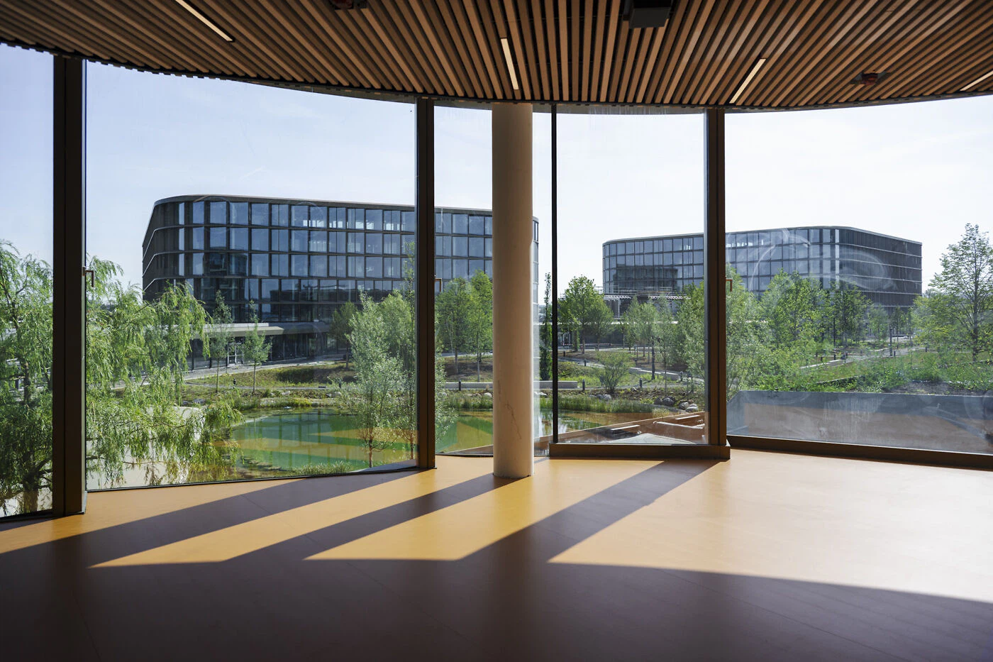 Franco Casaccia/JSWD