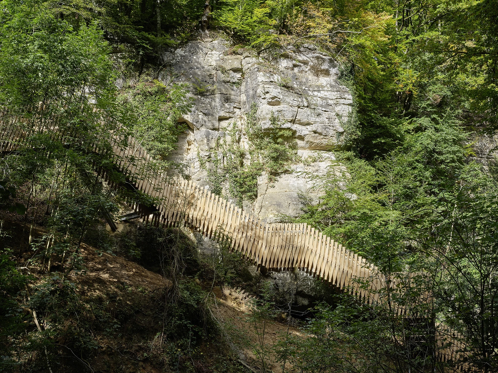 Foto: Willi Filz