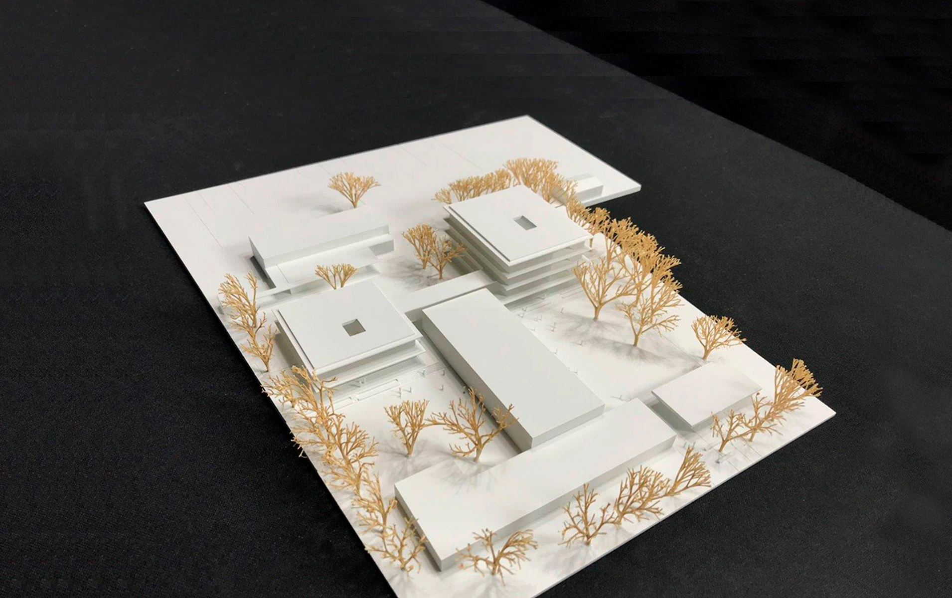 TLB Architekten