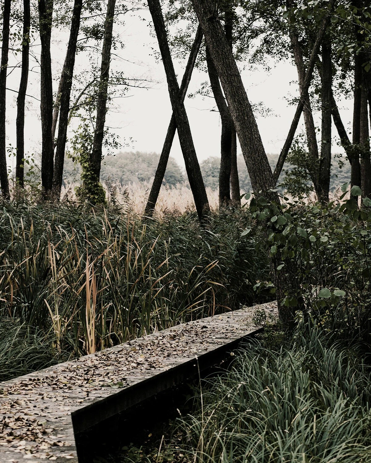 © Philipp Obkircher