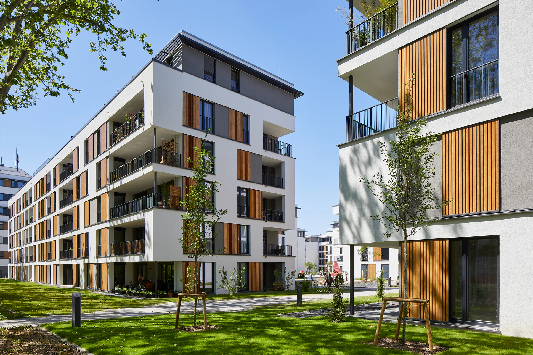 Kirsten Bucher, Frankfurt am Main