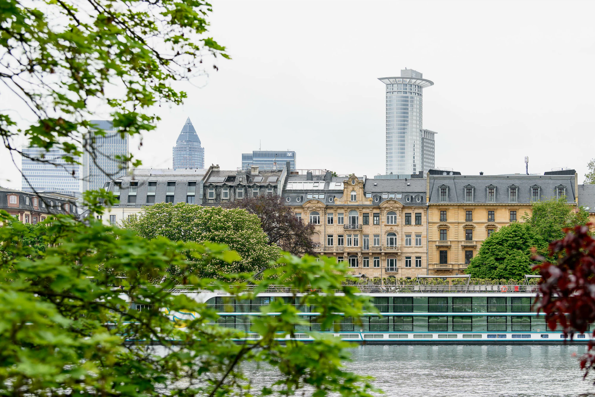 Mortitz Bernoully, Frankfurt