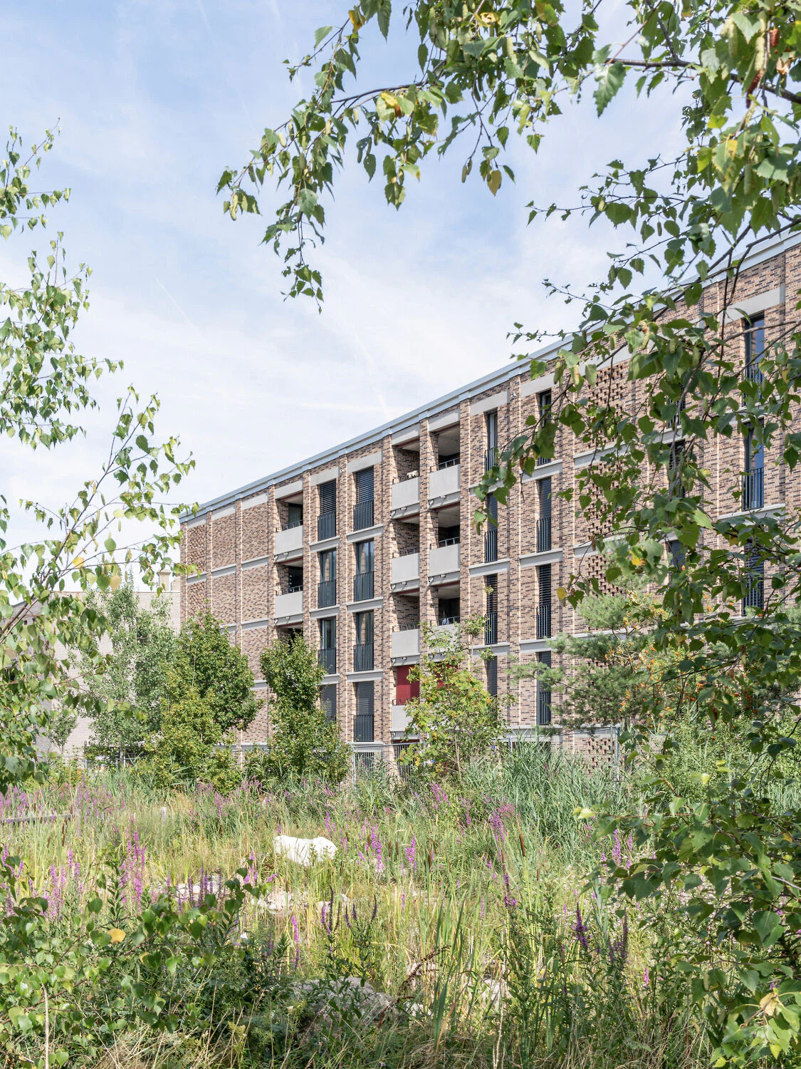 Fischer Architekten