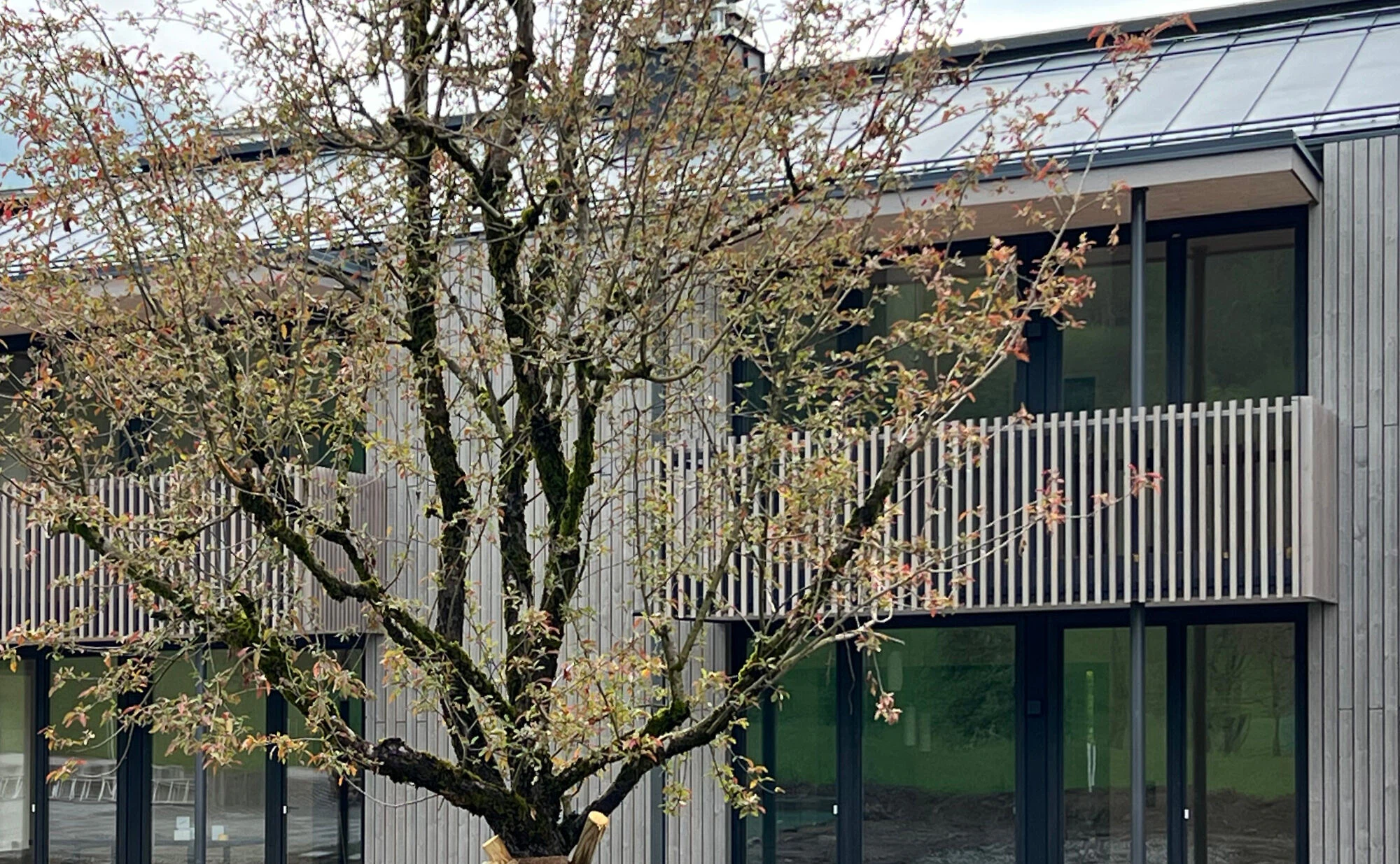 Ott Architekten