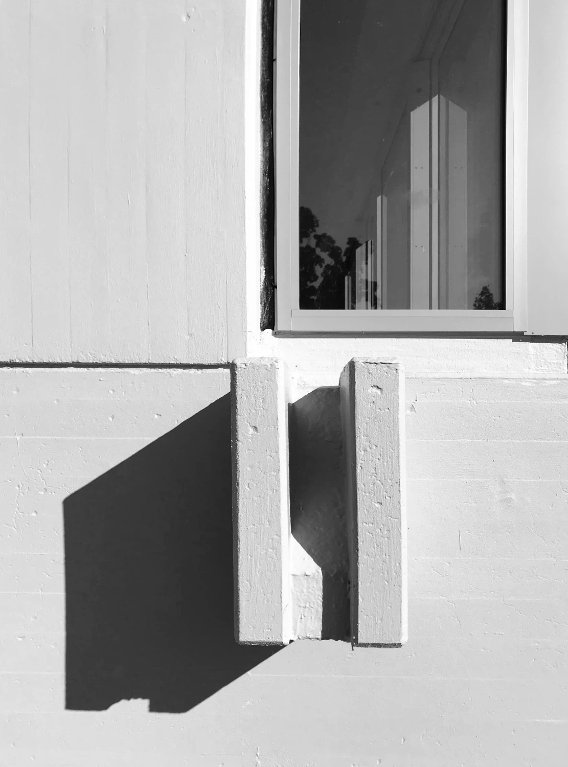 Johanna Schmid