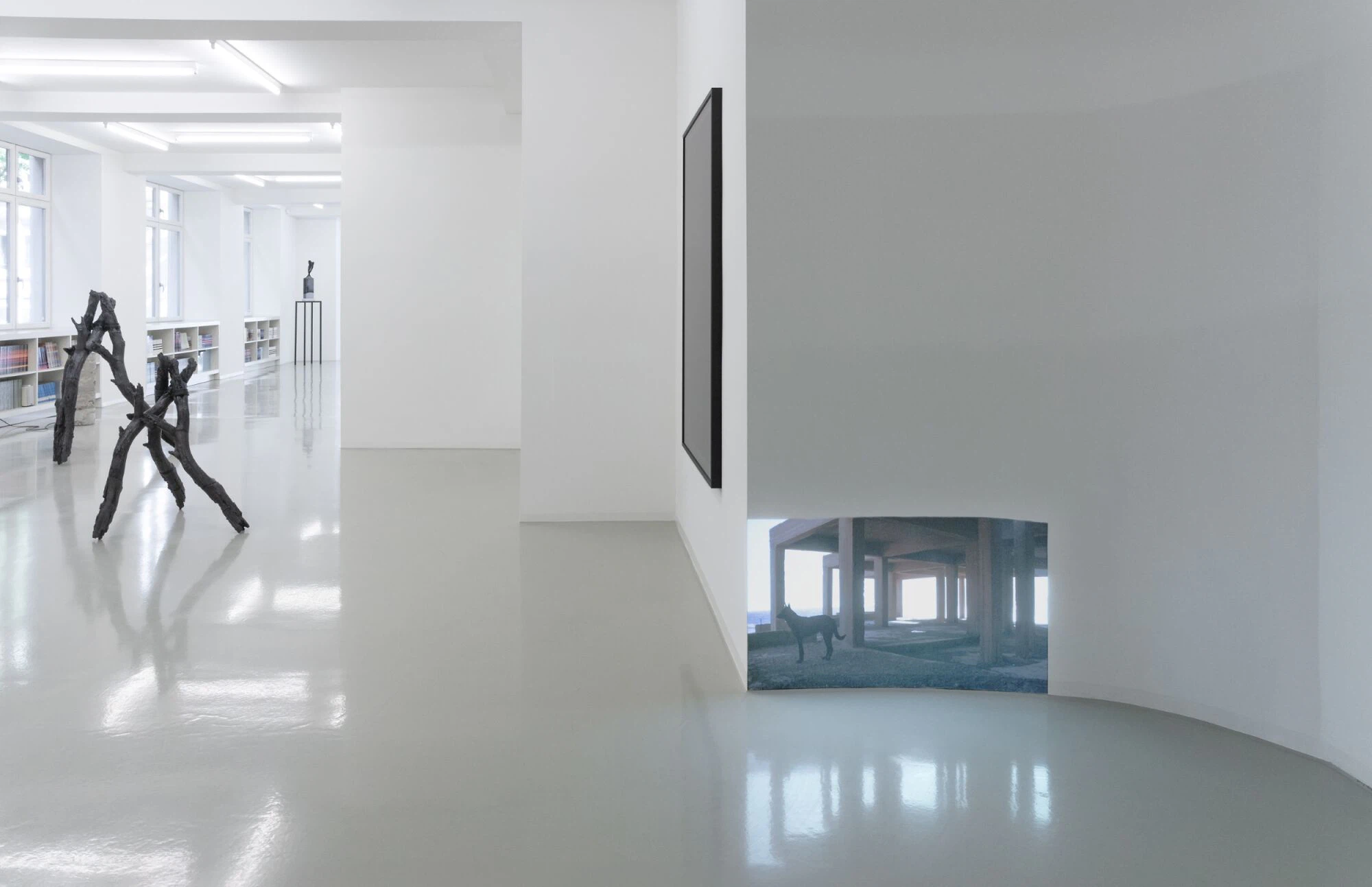 BAID_Simone Kessler