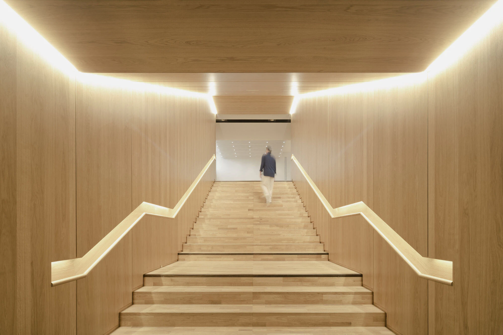 Brigida González für wulf architekten