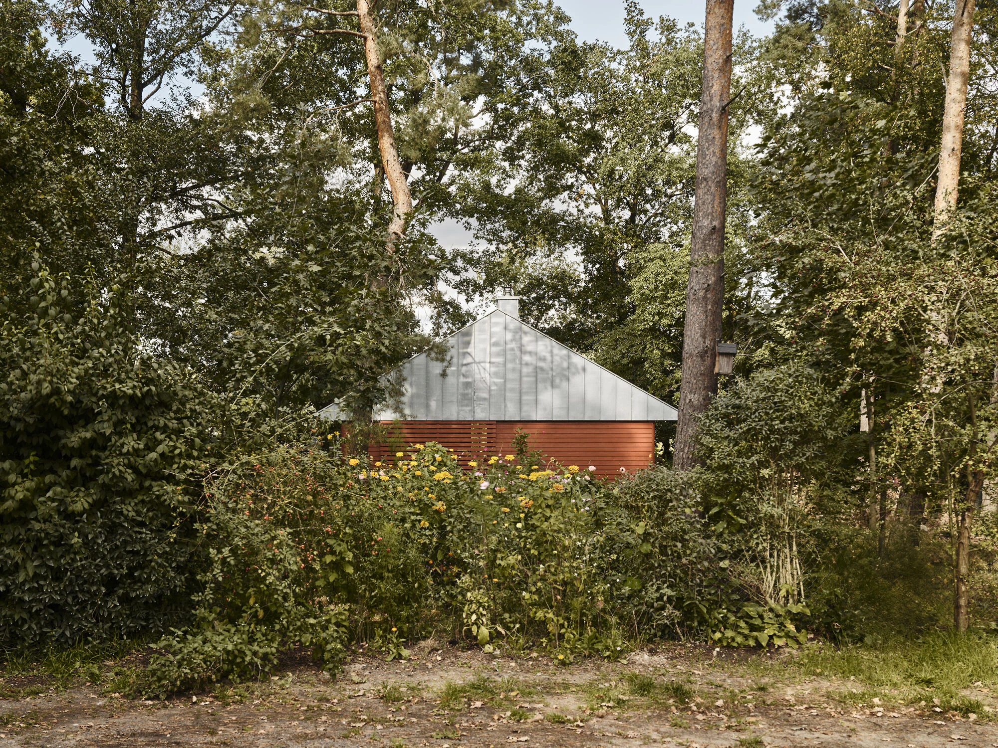 Patrick Huth - bullahuth fotografie