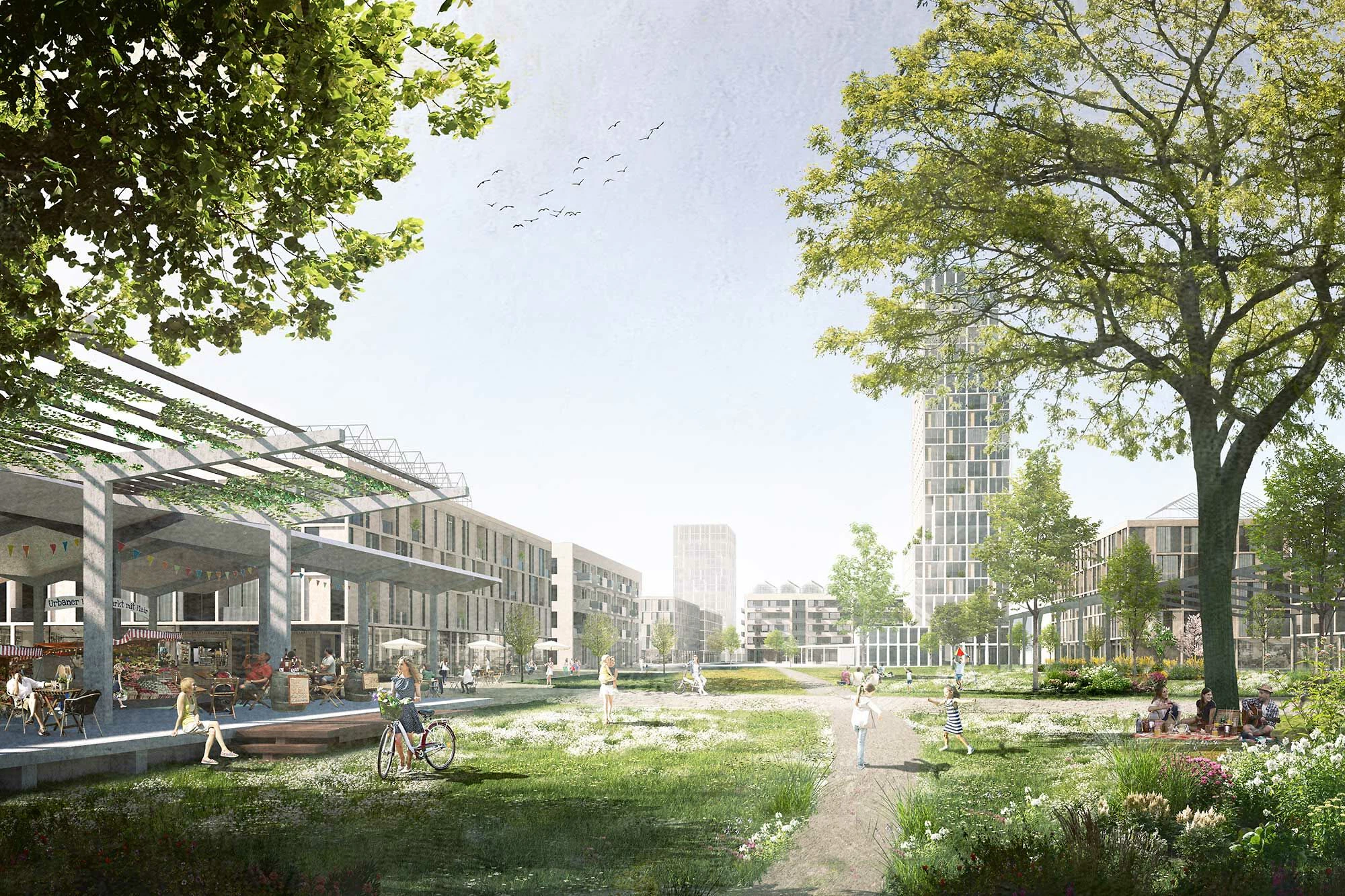 Architekten Venus