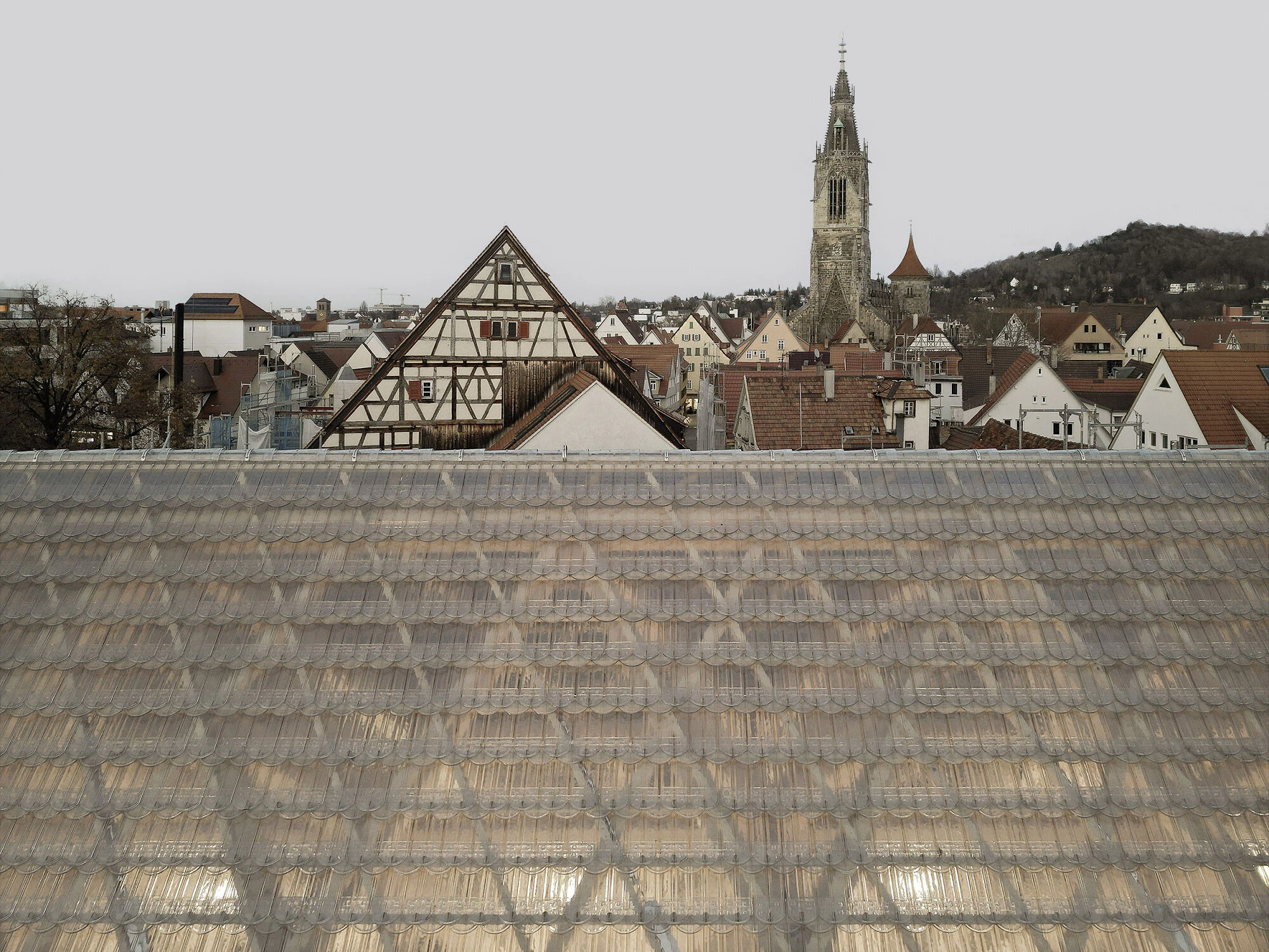 Brigida González für wulf architekten