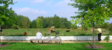 Jens Betcke